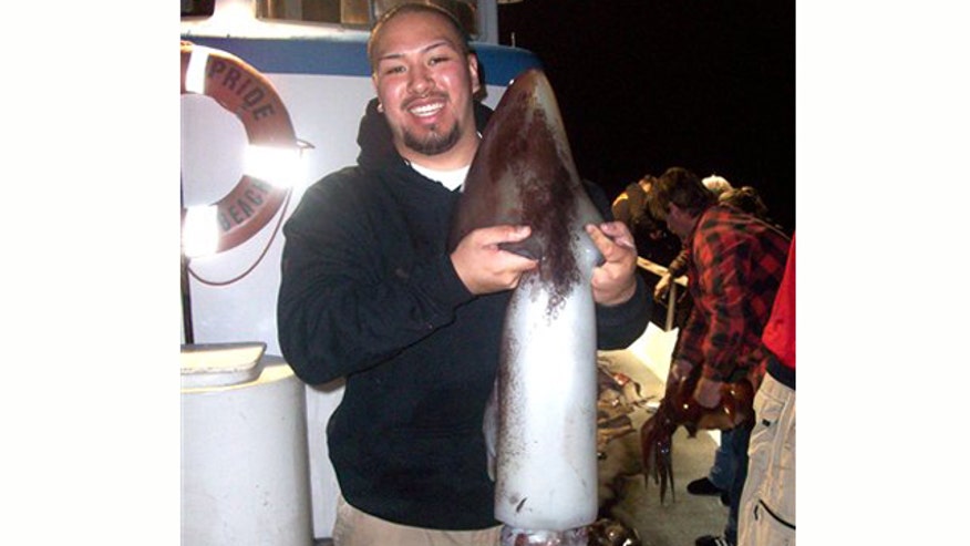 Giant Squid Invasion